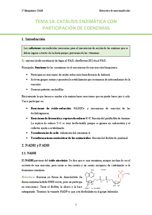 TEMA-14.-Catalisis-enzimatica-con-participacion-de-coenzimas..pdf