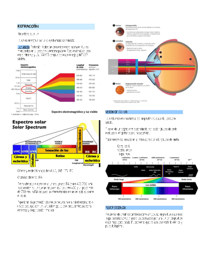 REFRACCION.pdf