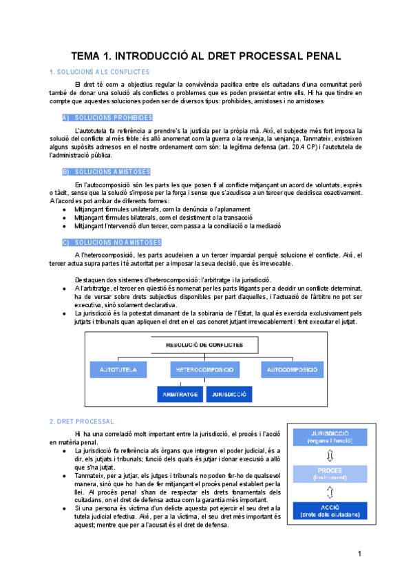APUNTES-PROCESAL-PENAL-I.pdf