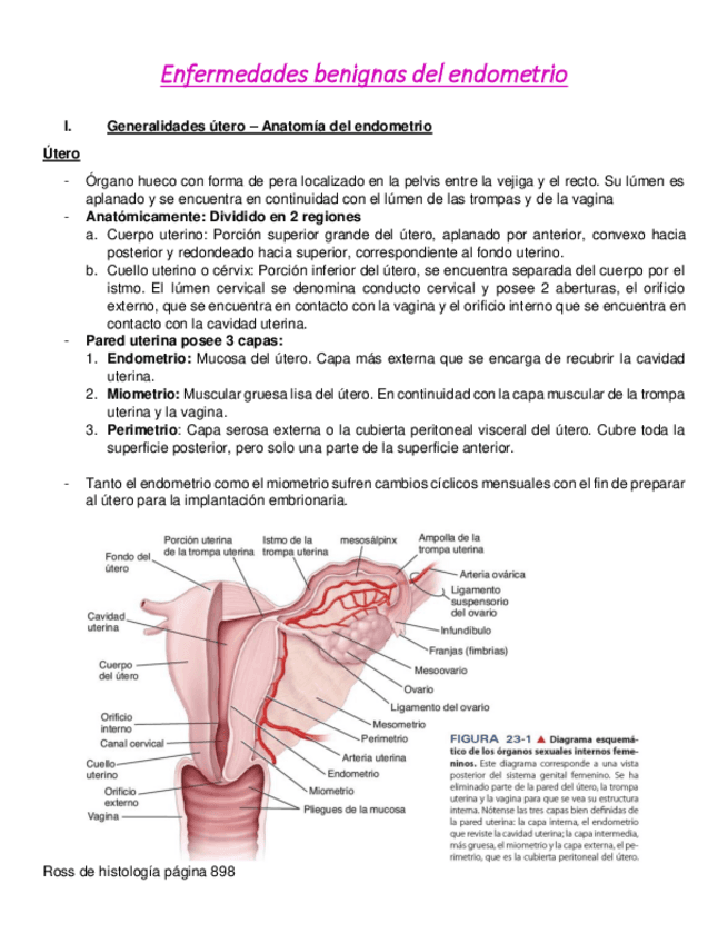 Enfermedades-Benignas-del-Endometrio.pdf