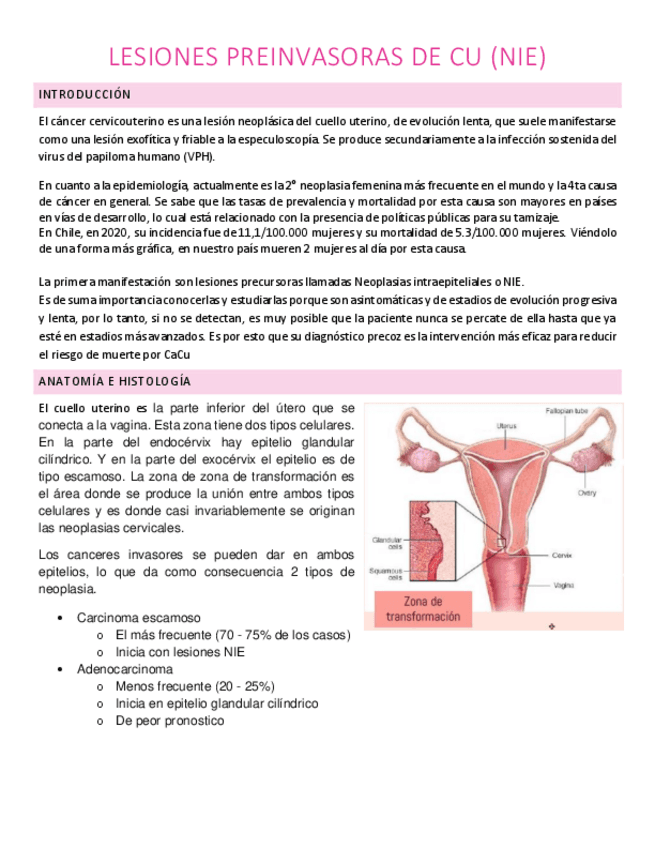 Lesiones-preinvasoras-de-cancer-cervicouterino.pdf