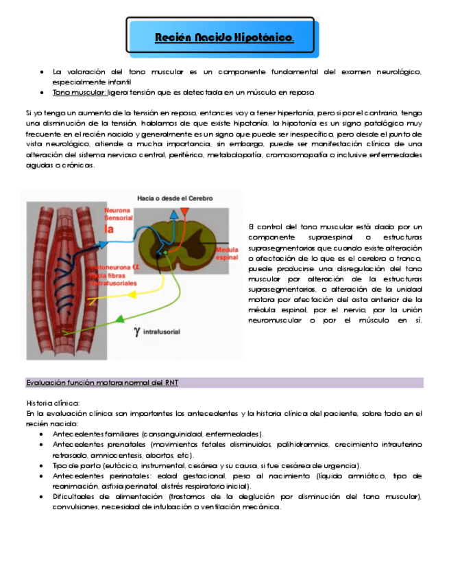 35.-Recien-Nacido-Hipotonico.pdf