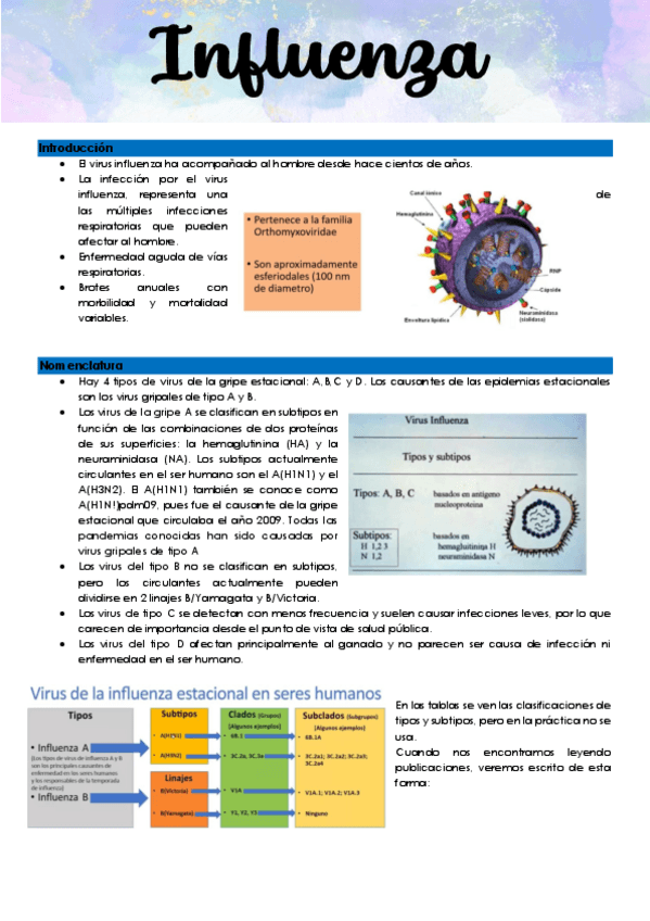 36.-Influenza.pdf