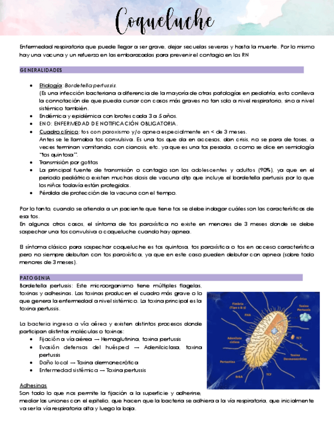 45.-Coqueluche.pdf