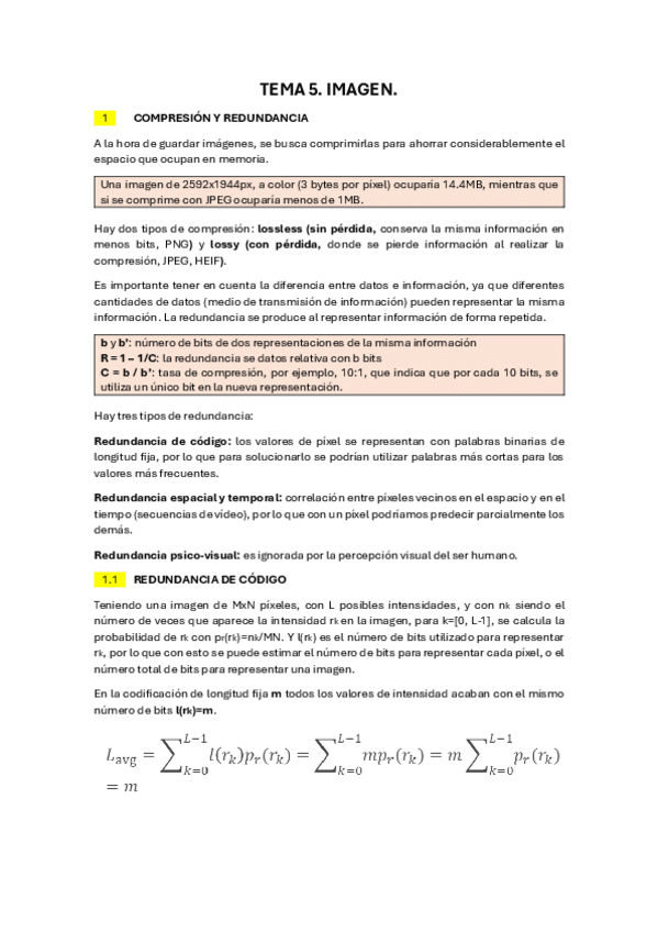 t5imagen.pdf