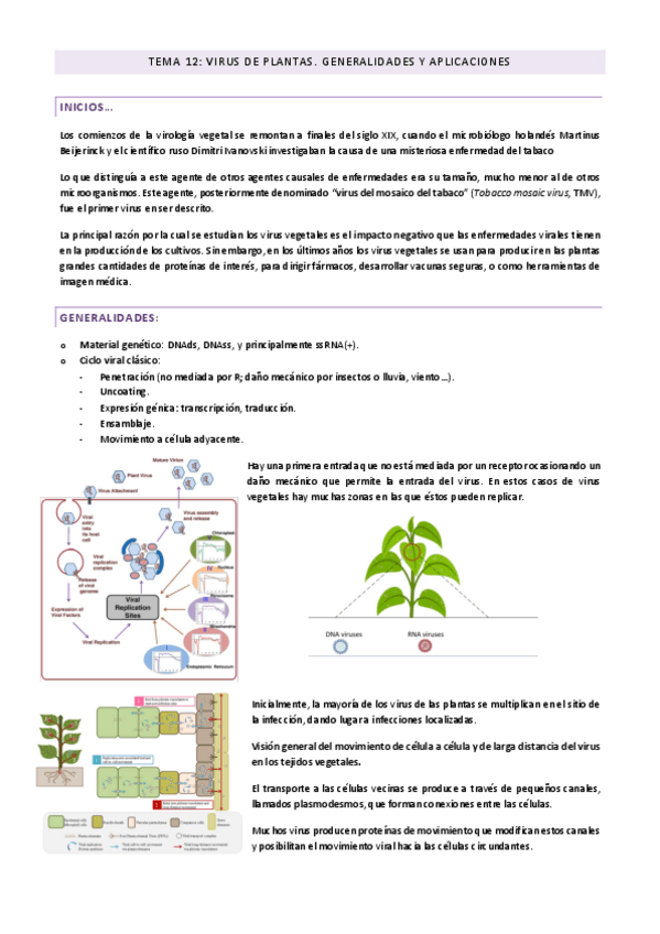 Tema-12-Virus-de-Plantas-Generalidades-y-Aplicaciones.pdf