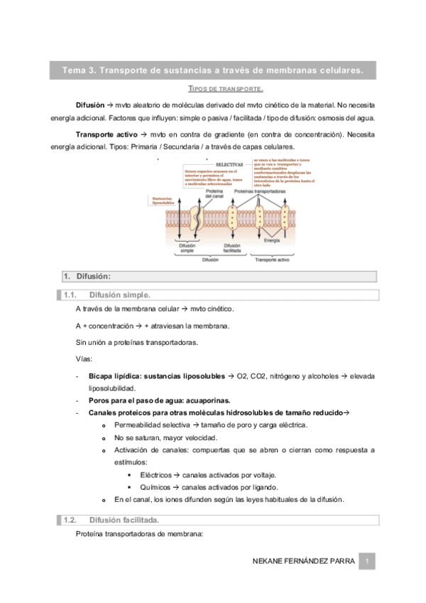Resumen_Tema3.pdf