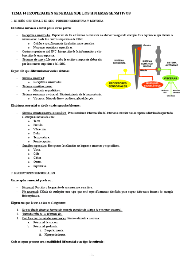 NEUROCIENCIAS-TEMA-14-PROPIEDADES-GENERALES-DE-LOS-SISTEMAS-SENSITIVOS.pdf