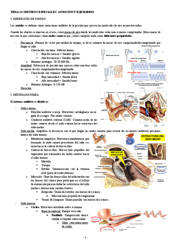 NEUROCIENCIAS-TEMA-16-SENTIDOS-ESPECIALES-AUDICION-Y-EQUILIBRIO.pdf