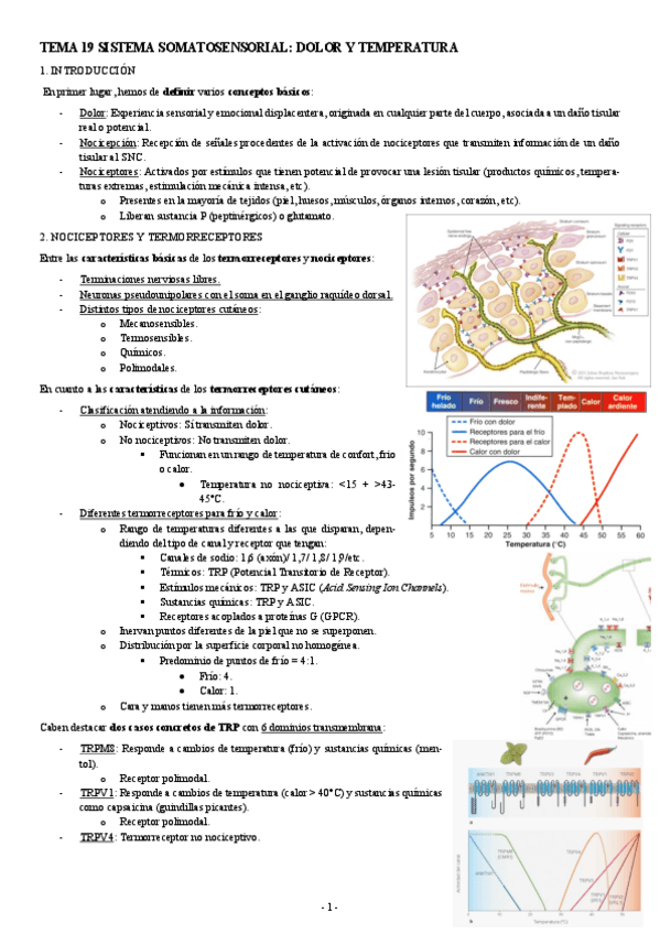 NEUROCIENCIAS-TEMA-19-SISTEMA-SOMATOSENSORIAL-DOLOR-Y-TEMPERATURA.pdf