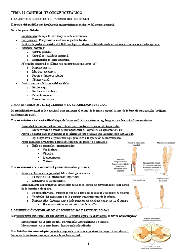 NEUROCIENCIAS-TEMA-22-CONTROL-TRONCOENCEFALICO.pdf
