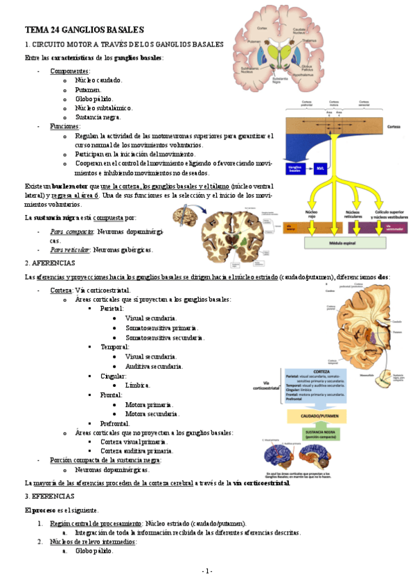 NEUROCIENCIAS-TEMA-24-GANGLIOS-BASALES.pdf