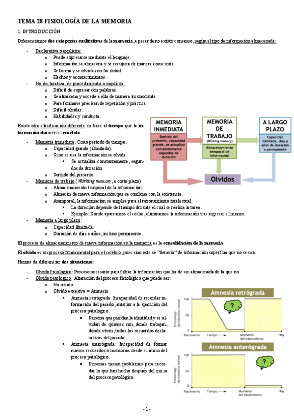 NEUROCIENCIAS-TEMA-28-FISIOLOGIA-DE-LA-MEMORIA.pdf