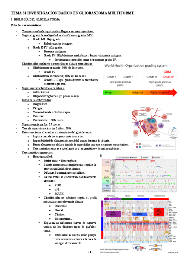 NEUROCIENCIAS-TEMA-31-INVESTIGACION-BASICO-EN-GLIOBLASTOMA-MULTIFORME.pdf