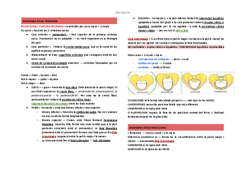 ESQUEMES-SOL-PELVIA.pdf