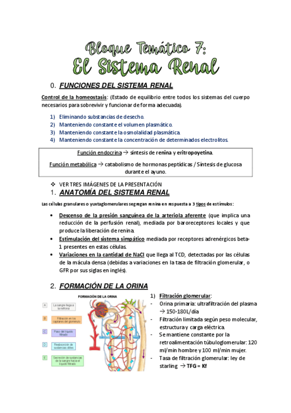 TEMA-7.-EL-SISTEMA-RENAL.pdf