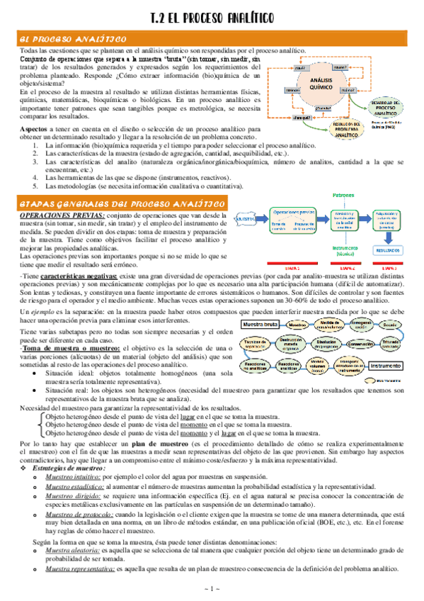 2-El-Proceso-Analitico.pdf