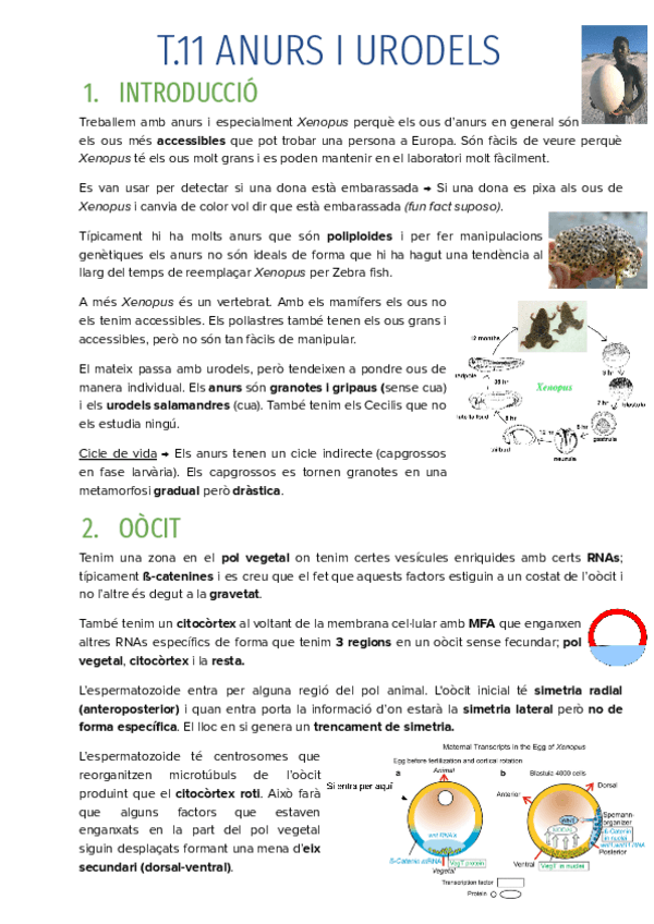 T.11-ANURS-I-URODELS.pdf