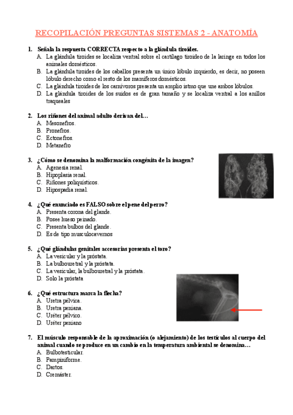 RECOPILACION-PREGUNTAS-SISTEMAS-2-ANATOMIA.pdf