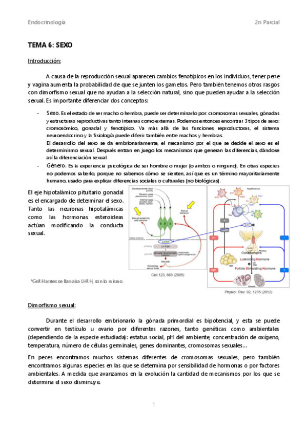 APUNTES-2n-Parcial-endocrinologia.pdf