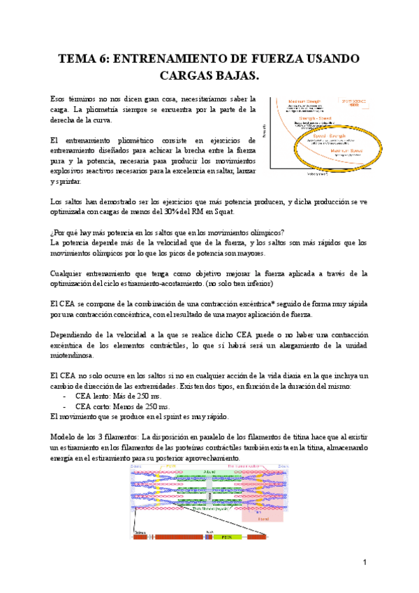 TEMA-6-ENTRENAMIENTO-DE-FUERZA-USANDO-CARGAS-BAJAS.pdf