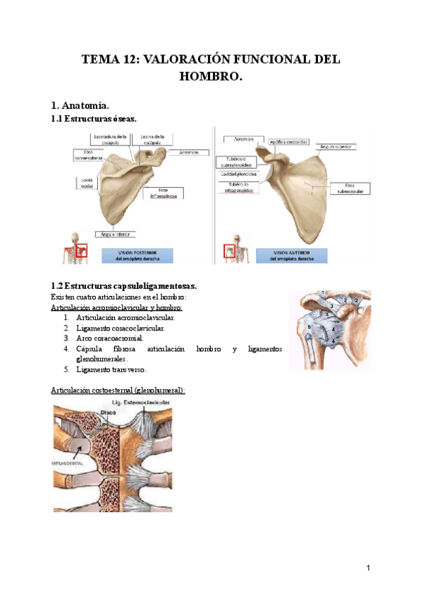 TEMA-12-VALORACION-FUNCIONAL-DEL-HOMBRO.pdf