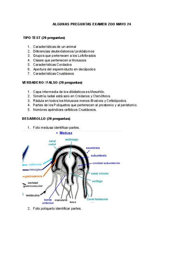 ALGUNAS-PREGUNTAS-EXAMEN-ZOO-MAYO-24.pdf