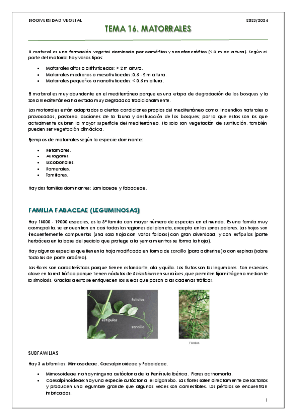 Tema-16-Matorrales.pdf