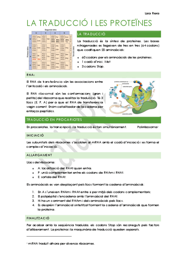 8.-La-traducció-i-les-proteines.pdf
