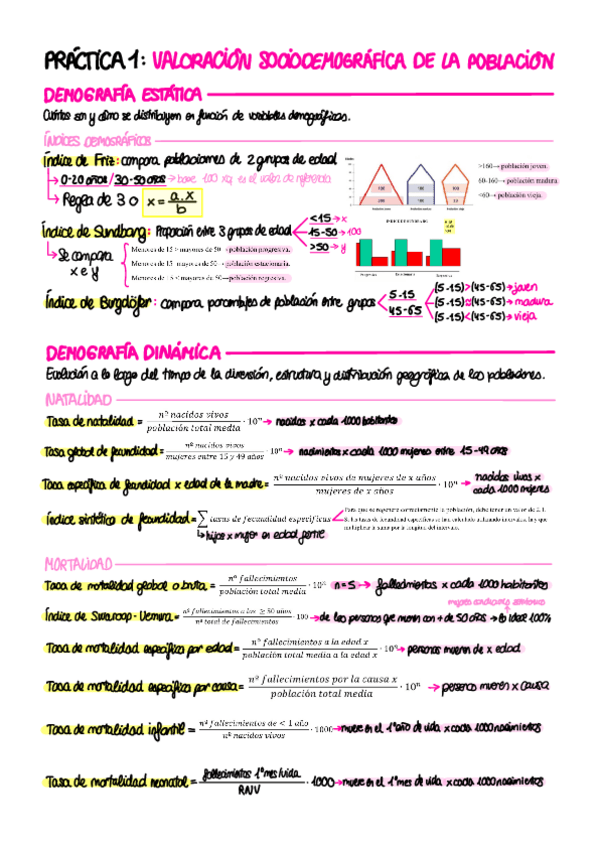 Formulario-Practicas-Epi.pdf