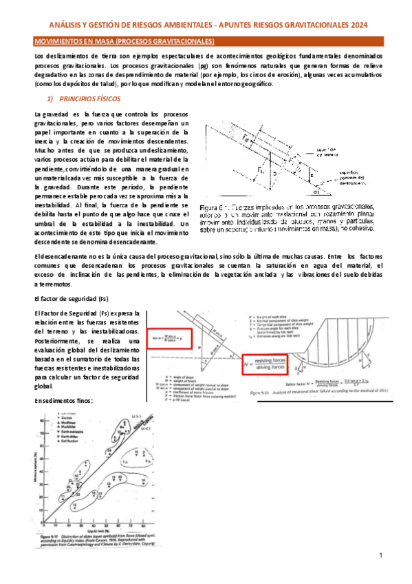 RIES-APUNTES-RIESGOS-GRAVITACIONALES-2024.pdf