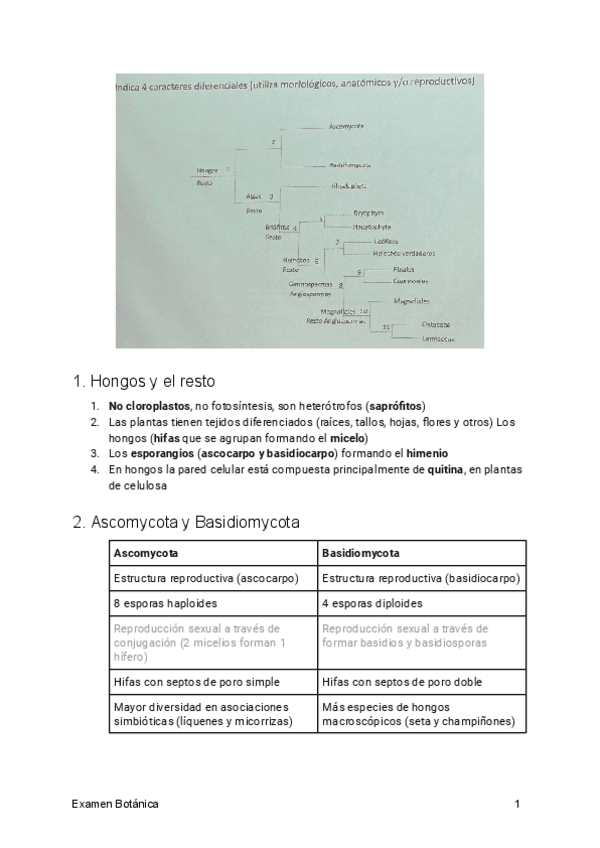 Ejercicos-examen-Botanica.pdf
