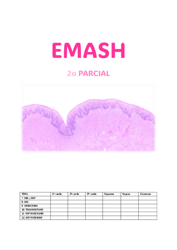 APUNTES-EMASH-2o-PARCIAL.pdf