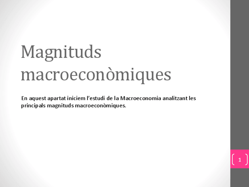 Macro.-PIB.pdf