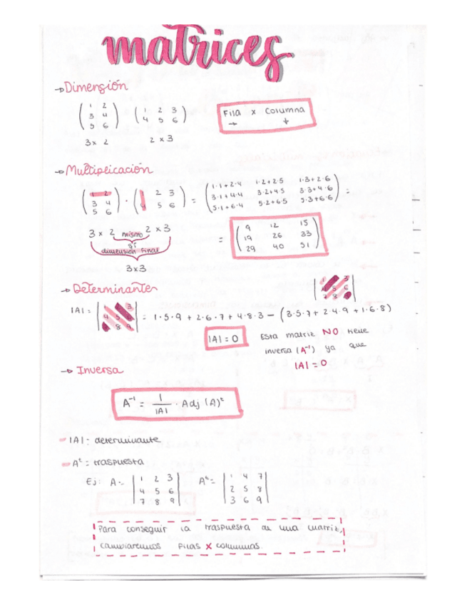 Matrices.pdf
