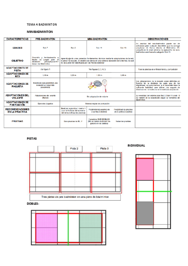 TEMA-4-BADMINTON-resumen.pdf