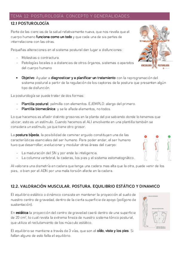 12-Posturologia.pdf