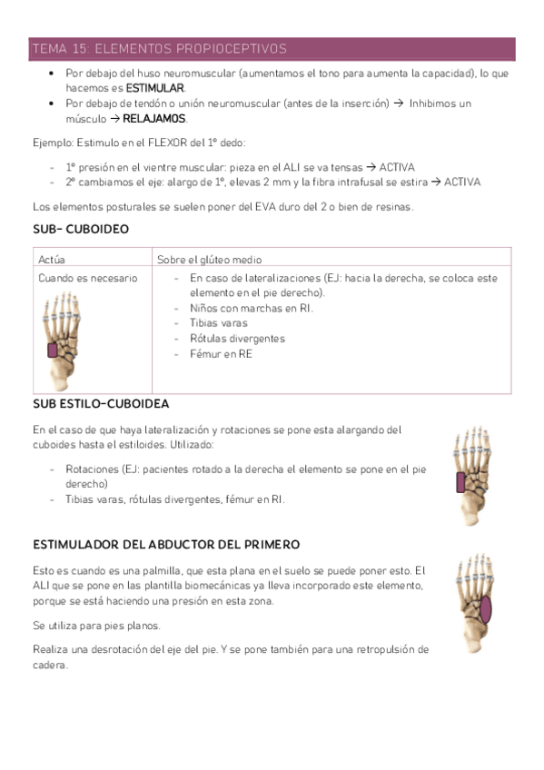 15-ELEMENTOS-POSTURALES.pdf