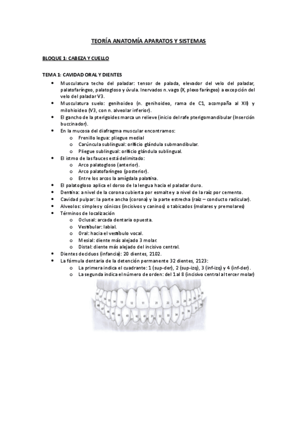 TEORIA-QUE-PREGUNTAN-MAS.pdf