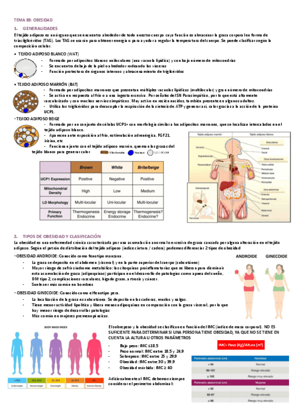 T8B Obesidad.pdf
