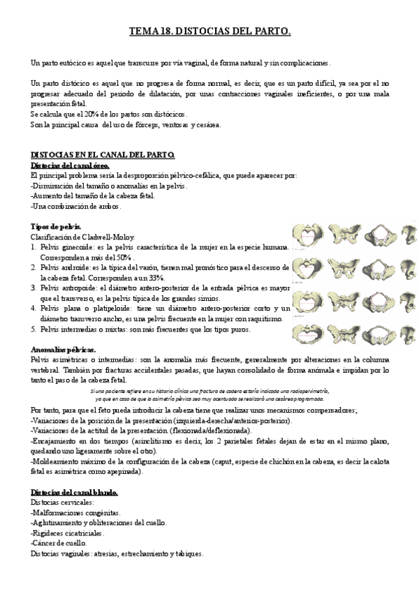 TEMA-18.-DISTOCIAS-DEL-PARTO..pdf