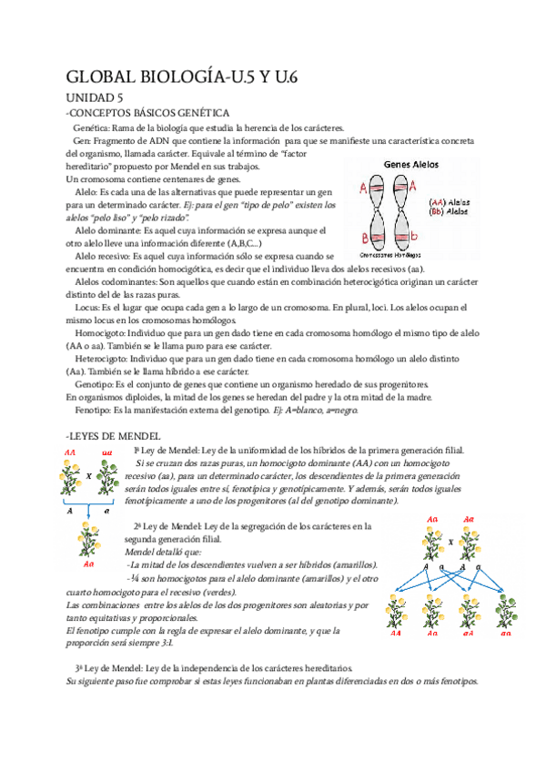 Herencia-y-genetica.pdf