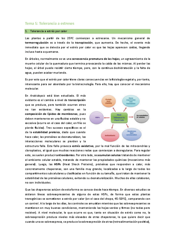 Tema-5-Tolerancia-a-estreses-abioticos.pdf