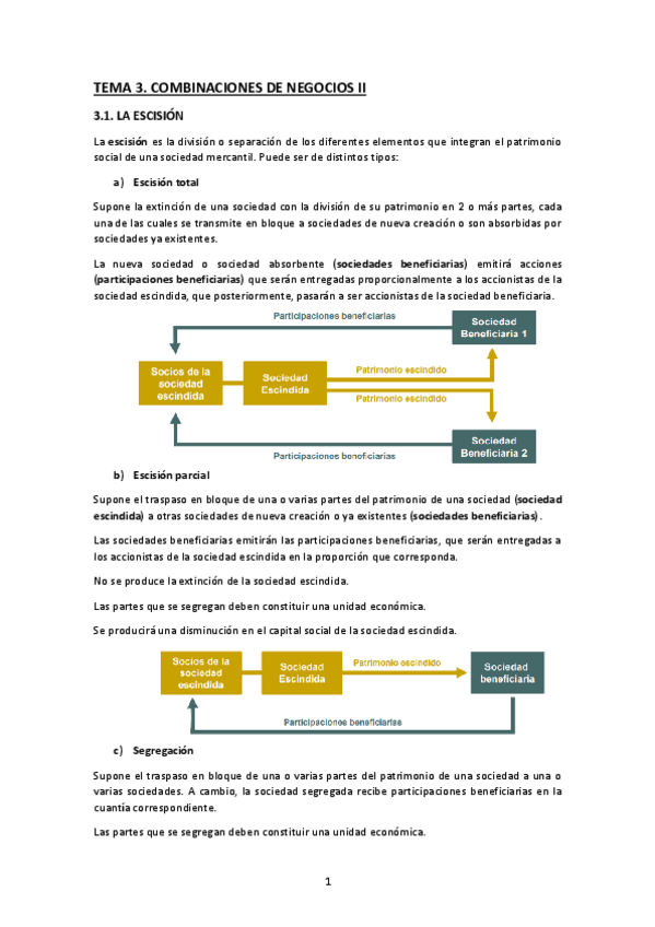 TEMA-3.-COMBINACIONES-DE-NEGOCIOS-II.pdf