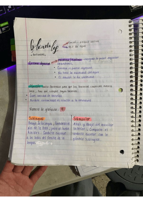 Glandulas-Salivales.pdf