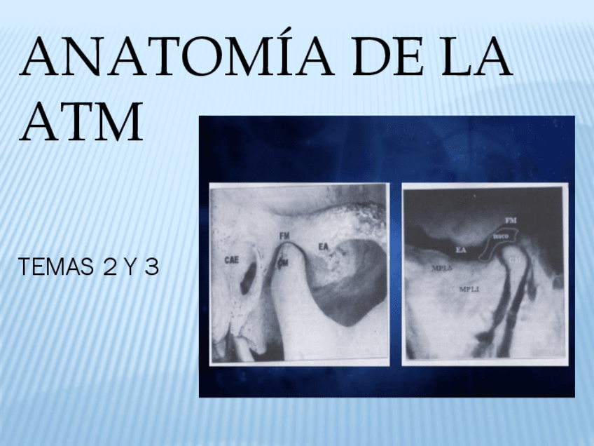 TEMA-2-Y-3-Anatomia-y-Musculos.pdf