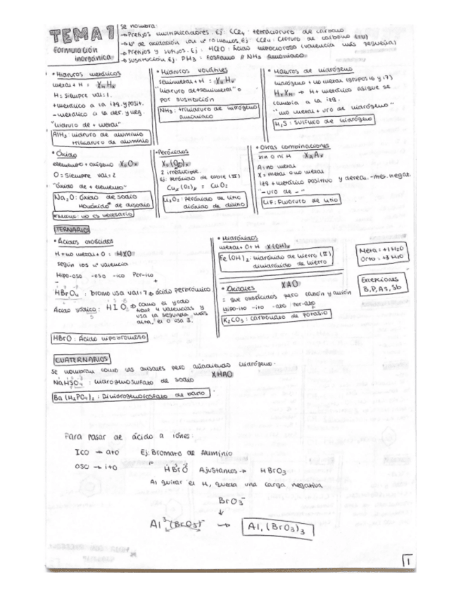 Resumen-Pevau-quimica-completo.pdf