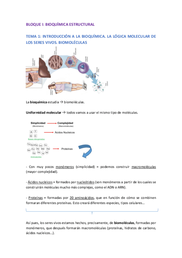 BLOQUE-1.pdf