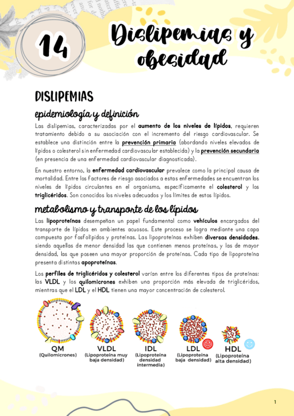 Tema-14.-Dislipemias-y-obesidad.pdf