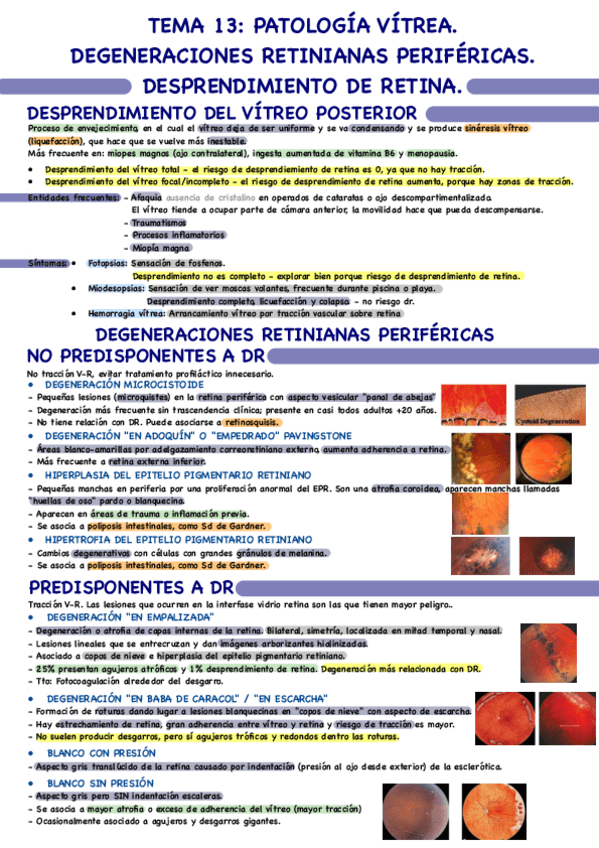 Tema-13.pdf